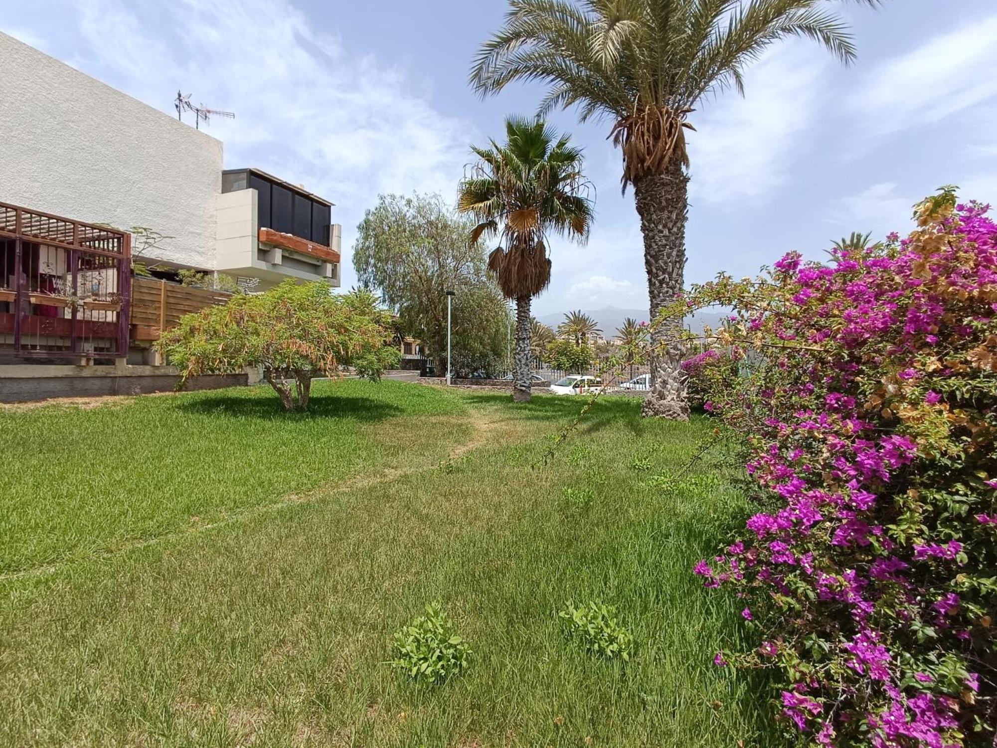 Apartment Tenerife South Coast Costa Del Silencio Exterior photo